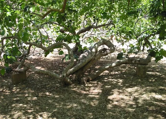 Casa Colonica Сasa de vacaciones